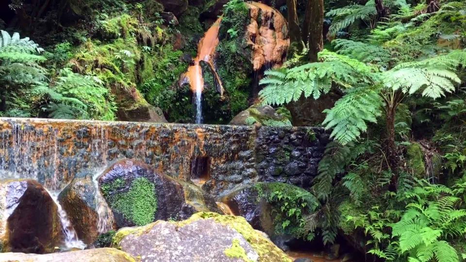 Lagoa Do Fogo: Guided Volcano Geo Tour W/ Hotsprings Bathing - Ribeira Grande Guided Tour