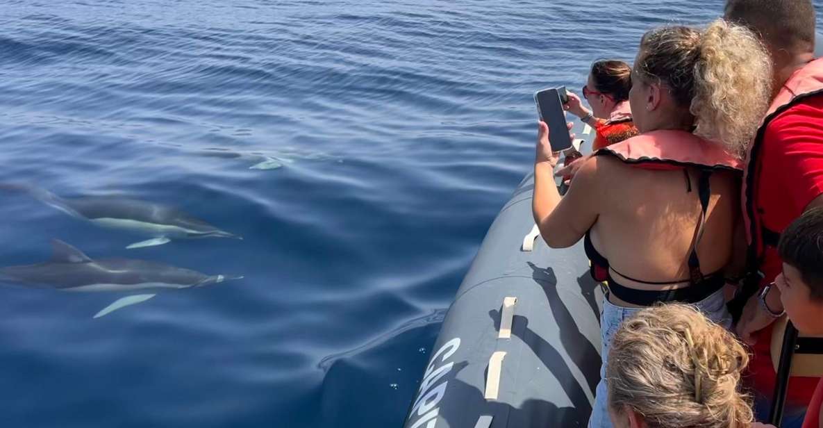 Lagoa: Dolphins Expedition with biologist guide on board - A Deep Dive into the Experience