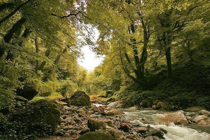 Lagodekhi - A day hiking from Tbilisi - Encountering the Natural Beauty of Lagodekhi