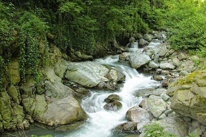 Lagodekhi - A day hiking from Tbilisi - Logistics, Timing, and Practical Tips