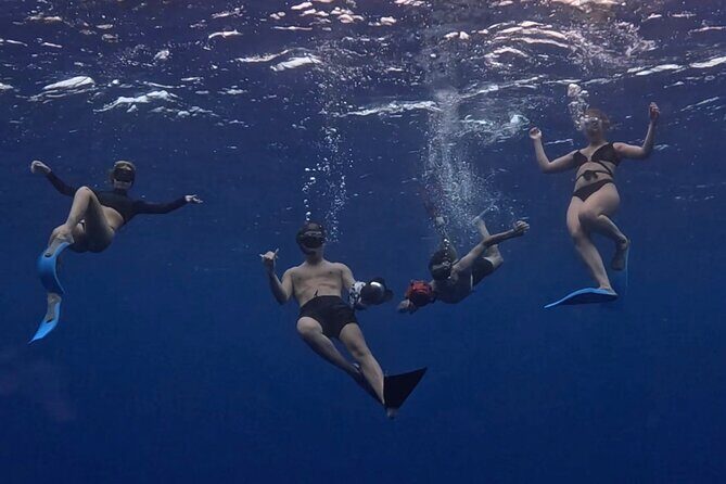 Lagoon and Marine Wildlife Tour in Moorea - A Closer Look at the Tour Itinerary