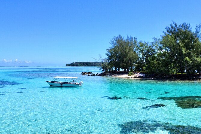 Lagoon and Marine Wildlife Tour in Moorea - Frequently Asked Questions
