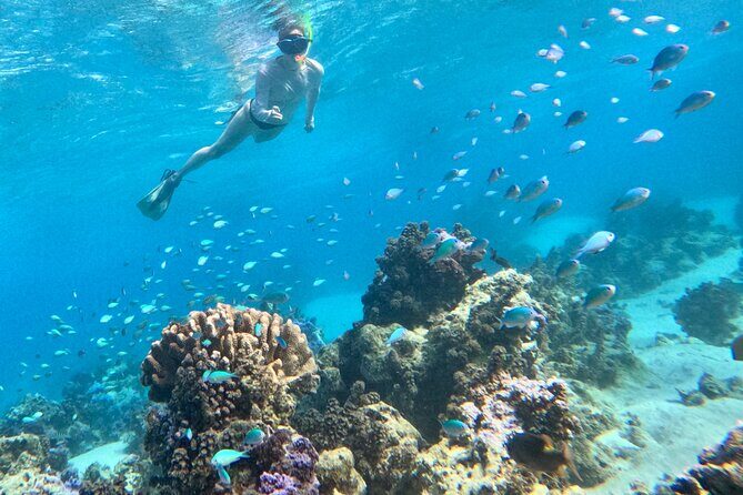 Lagoon and Wildlife Discovery on a Private Boat in Moorea - Practical Details and Considerations