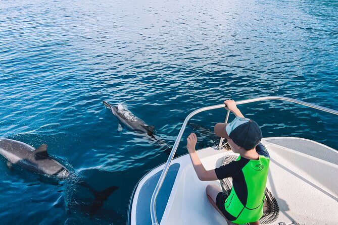 Lagoon and Wildlife Discovery on a Private Boat in Moorea - Who Should Consider This Tour?