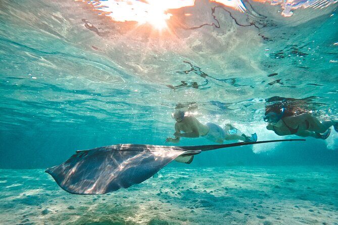 Lagoon and Wildlife Discovery on a Private Boat in Moorea - The Sum Up: Who Will Love This Tour?