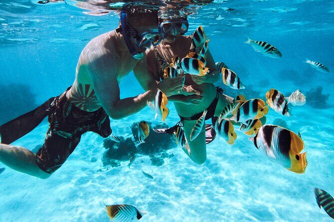 Lagoon and Wildlife Discovery on a Private Boat in Moorea - Frequently Asked Questions