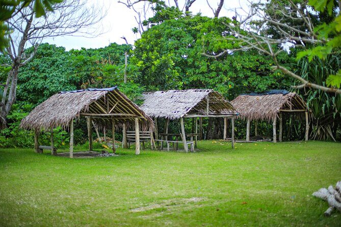 Lagoon Bliss Cultural Village and Hideaway Snorkeling Escape - Final Thoughts: Who Should Consider This Tour?