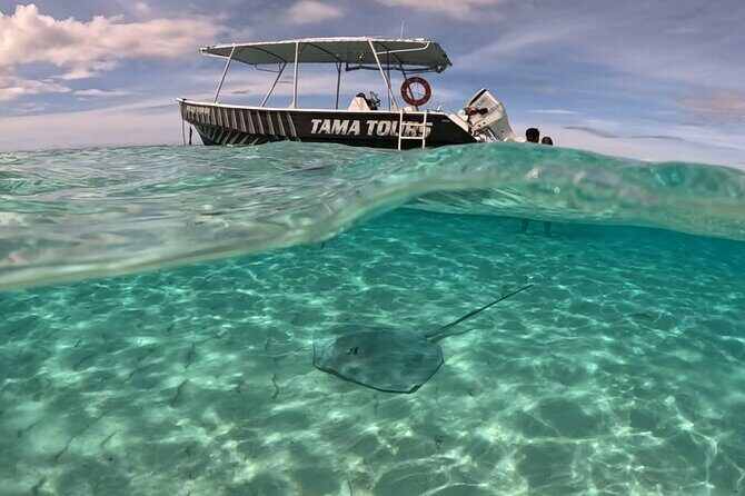 Lagoon Exploration and Snorkeling in Moorea - A Detailed Look at the Moorea Lagoon Snorkeling Tour