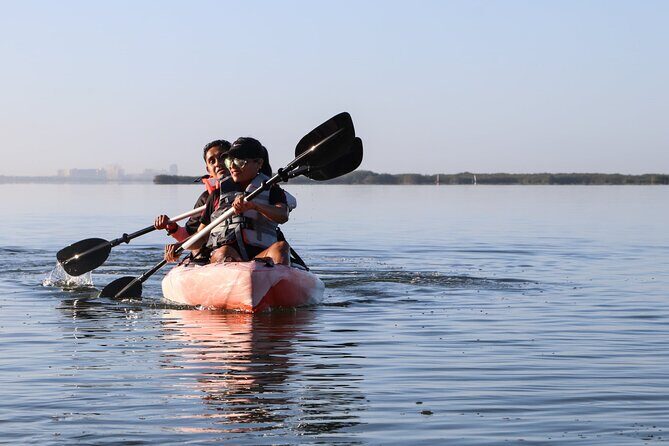 Lagoon Mangrove Tour, Kayaking and Sightseeing from Cancun - A Closer Look at the Lagoon Mangrove Tour