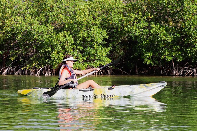 Lagoon Mangrove Tour, Kayaking and Sightseeing from Cancun - Who Should Consider This Tour?