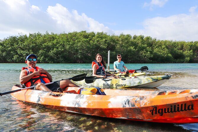 Lagoon Mangrove Tour, Kayaking and Sightseeing from Cancun - FAQ