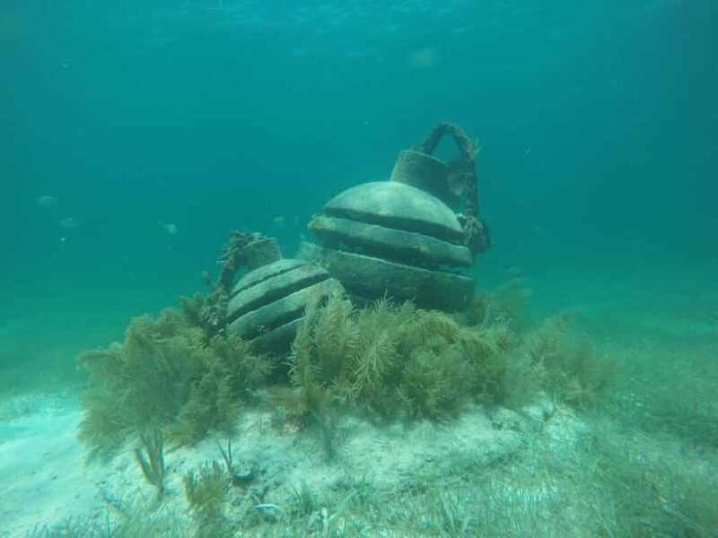 Lagoon ride and snorkeling - Practical Tips for Participants