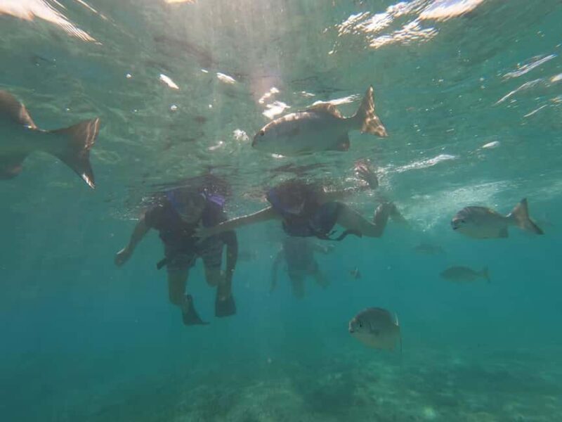 Lagoon ride and snorkeling - Who Should Consider This Tour?