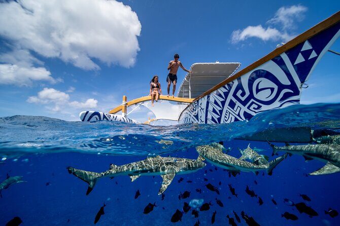 Lagoon Snorkeling Tour with Tahitian Oven Lunch in Bora Bora - Who Should Consider This Tour?