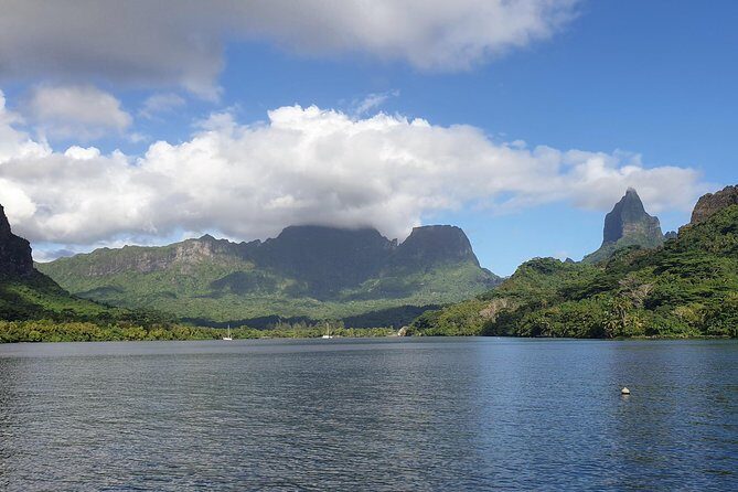 Lagoon Tour - Discover the magnificent lagoon of Moorea - An Introduction to Moorea’s Lagoon Adventure