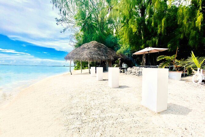 Lagoon Tour + lunch with your feet in the water on a Motu - Discovering Moorea’s Lagoon: A Complete Breakdown