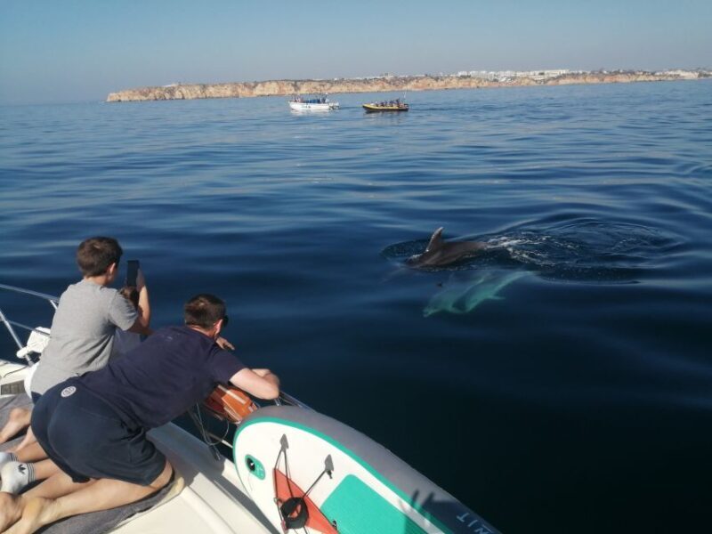 Lagos: 2-Hour Evening Champagne Cruise - Lagos: 2-Hour Evening Champagne Cruise – A Close-Up of Algarve’s Coastal Beauty