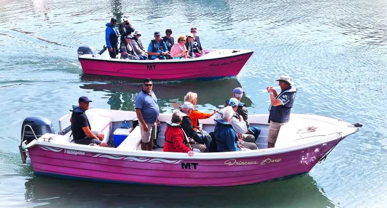 Lagos-Algarve: Grotto Trip - Boat Trip Late afternoon - Who Will Love This Experience?