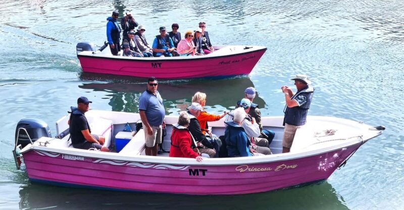 Lagos-Algarve: Grotto Trip - Boat Trip Late afternoon - FAQ