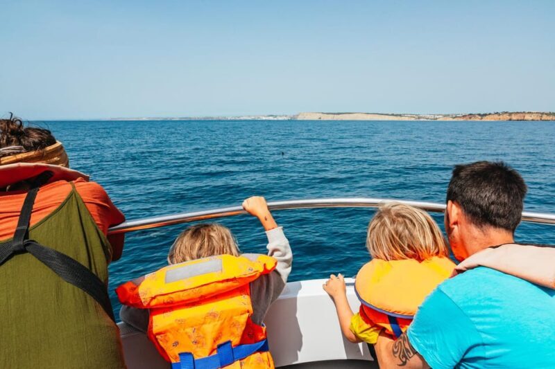 Lagos: Dolphin Watch Tour with Professional Marine Biologist - Key Points