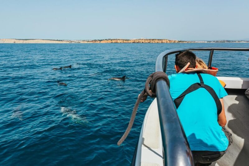 Lagos: Dolphin Watch Tour with Professional Marine Biologist - FAQ