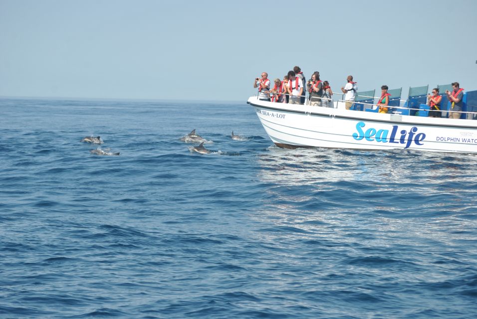 Lagos: Dolphin Watching Boat Tour With Marine Biologists - Meeting Point