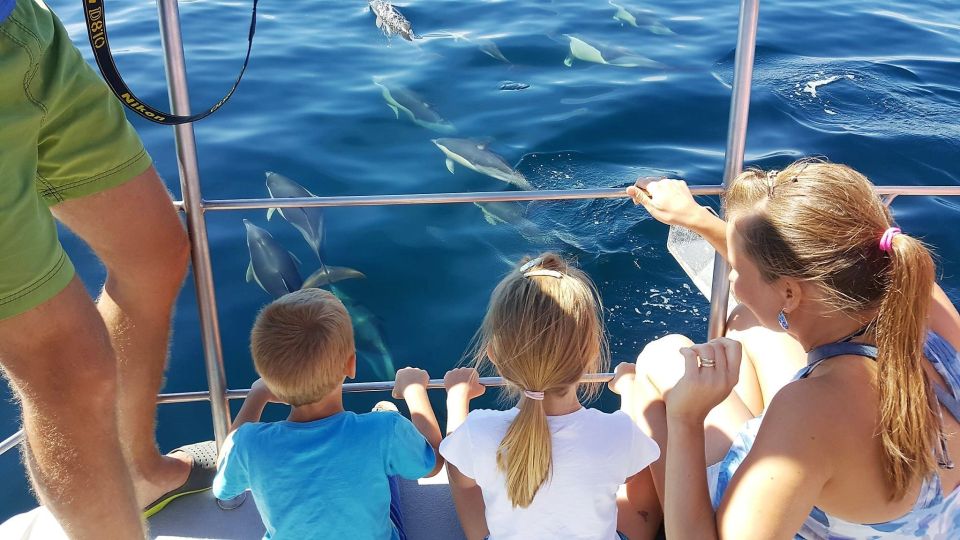 Lagos: Dolphin Watching Catamaran Cruise - Experience Overview