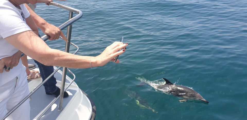 Lagos: Dolphin Watching Catamaran Cruise - Frequently Asked Questions