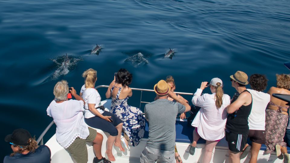 Lagos: Dolphin Watching Half-Day Cruise & Water Activities - Additional Information