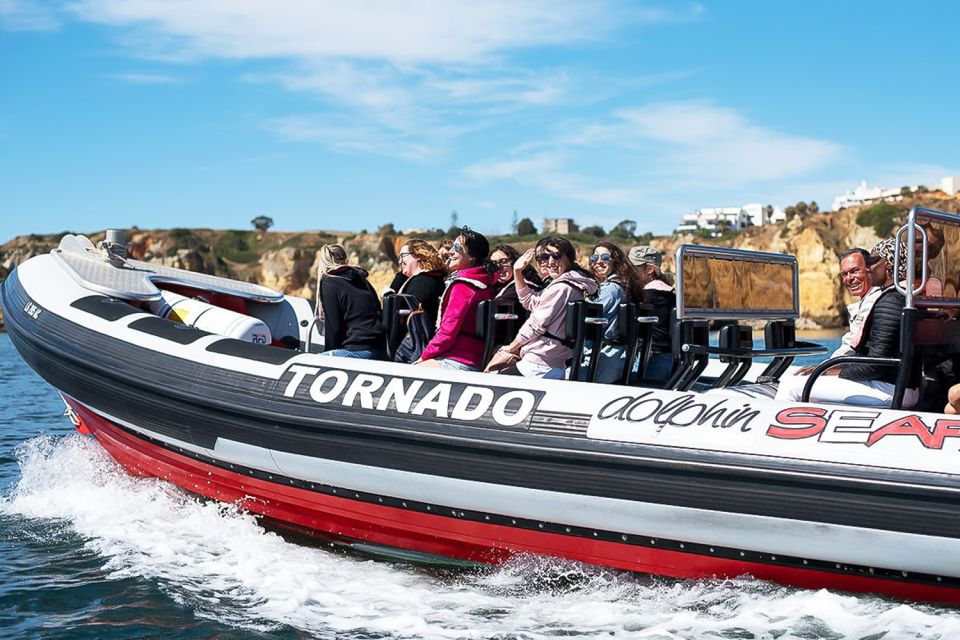 Lagos: Dolphin Watching With Professional Marine Biologists - Highlights of the Tour