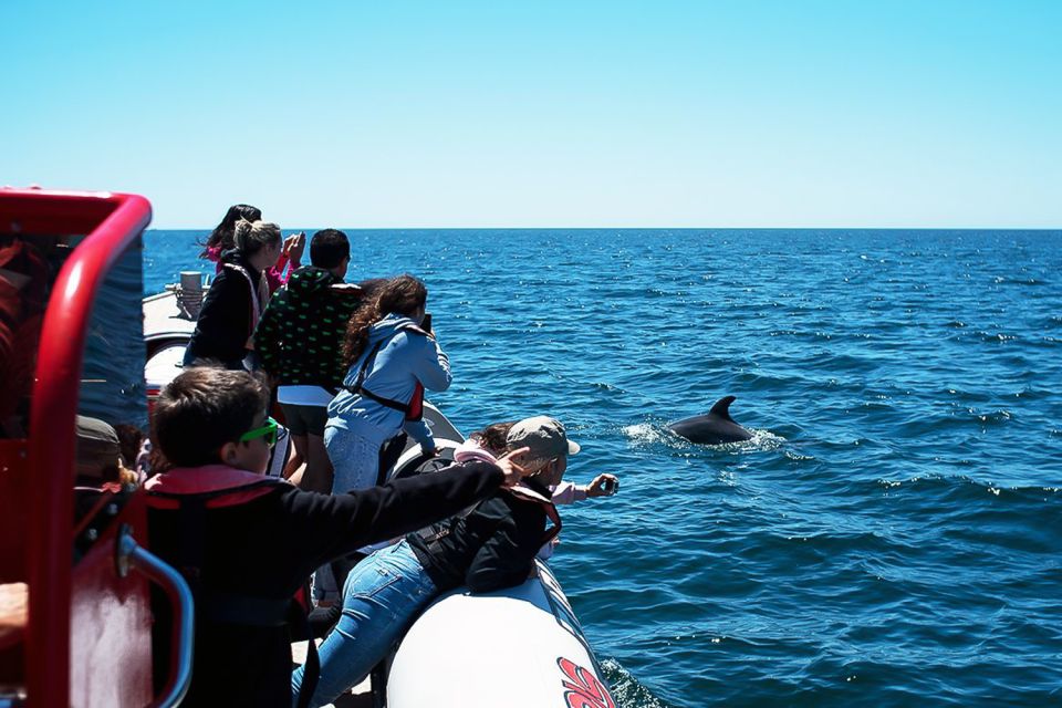 Lagos: Dolphin Watching With Professional Marine Biologists - Reservation and Availability