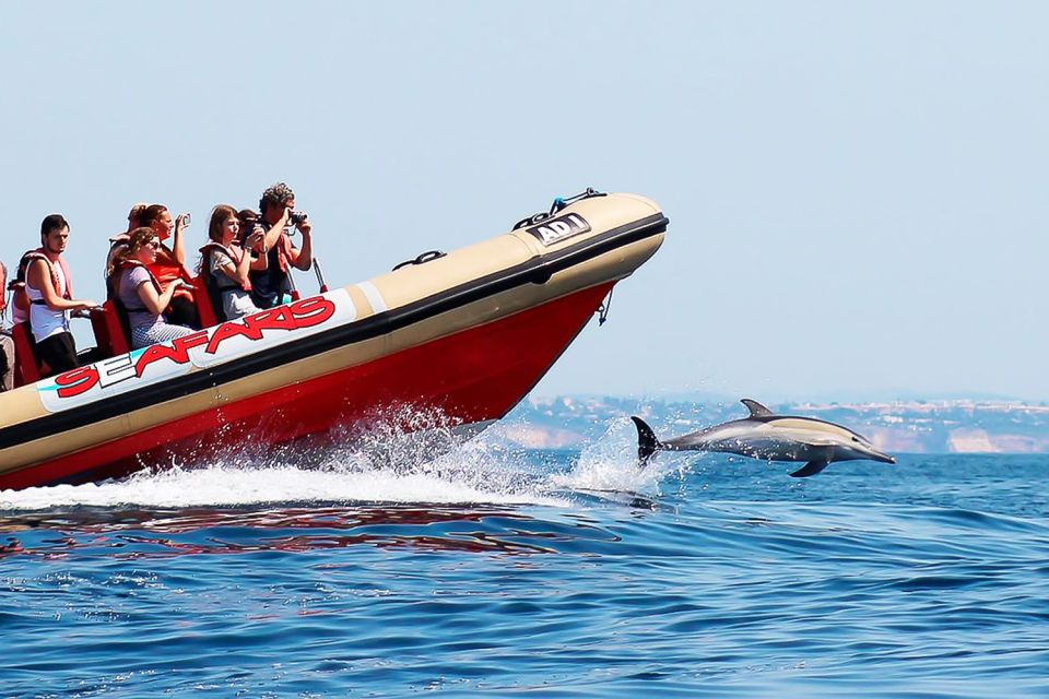 Lagos: Dolphin Watching With Professional Marine Biologists - Frequently Asked Questions