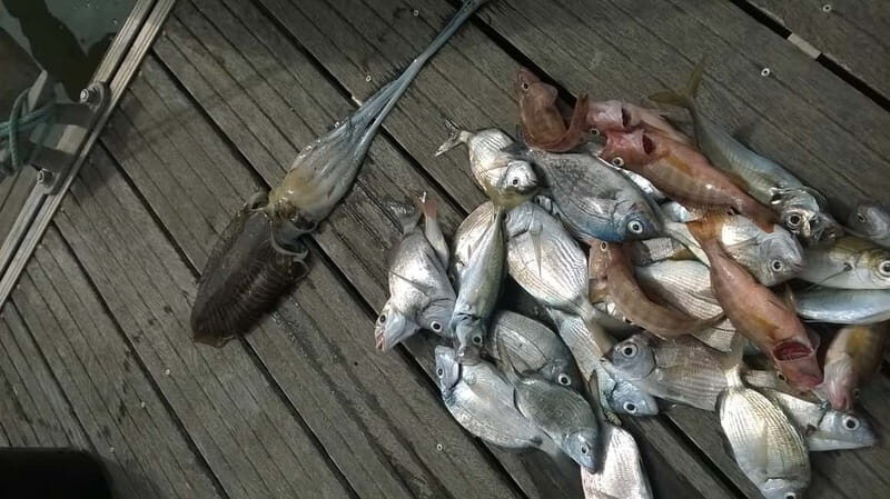 Lagos: Family Fishing Trip - Key Points