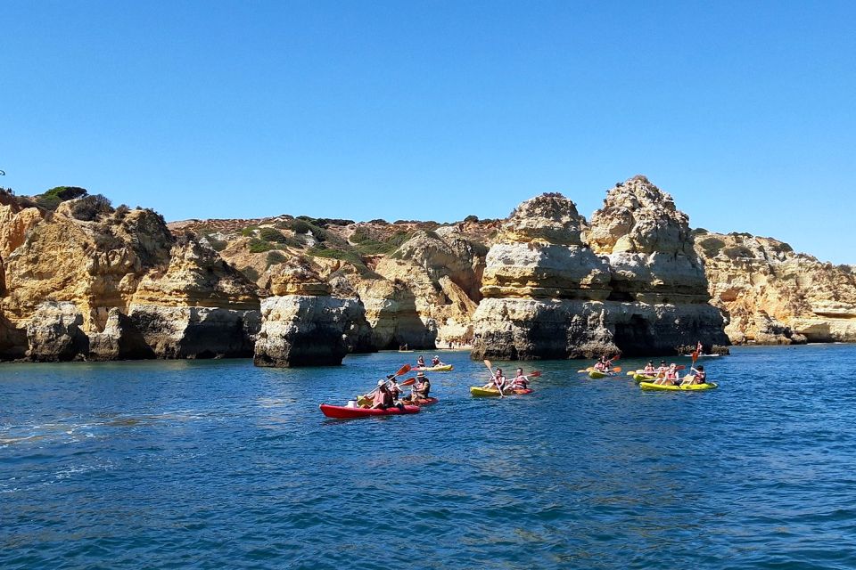Lagos: Guided Kayak Tour - Tour Experience