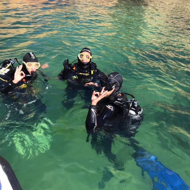 Lagos: Guided Scuba Diving Trip for Beginners - Meeting Point and Logistics