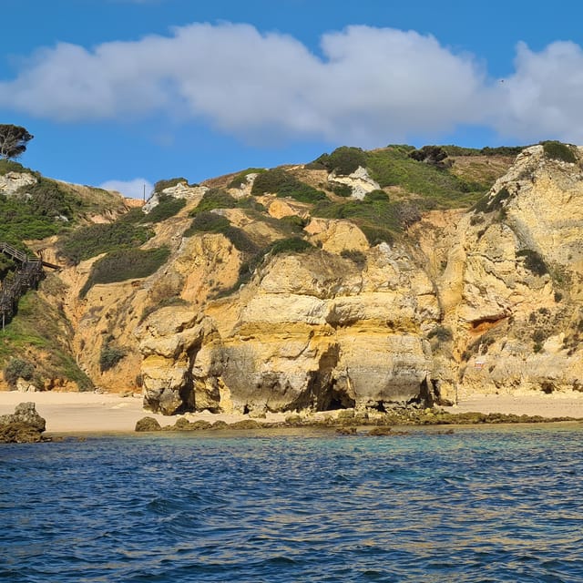 Lagos: Privat Trip up to 11 Pax to Grottos Ponta da Piedade - The Experience from Reviews