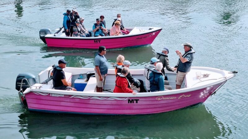 Lagos: Privat Trip up to 11 Pax to Grottos Ponta da Piedade - Who Should Consider This Tour?