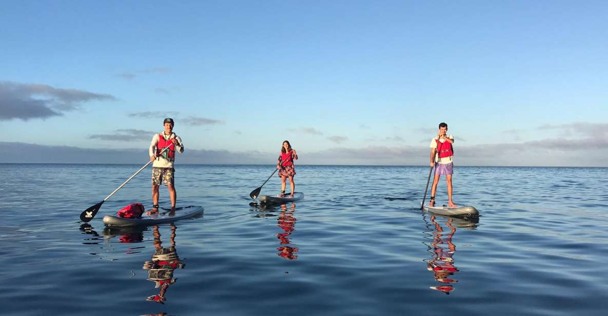 Lagos: Sunrise SUP Tour to the Ponta Da Piedade Caves - Equipment and Inclusions
