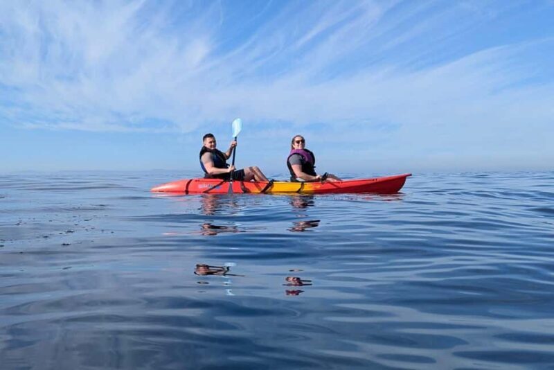 Laguna Beach: Ocean Kayak Private Tour with Guide - Authentic Insights from Reviews