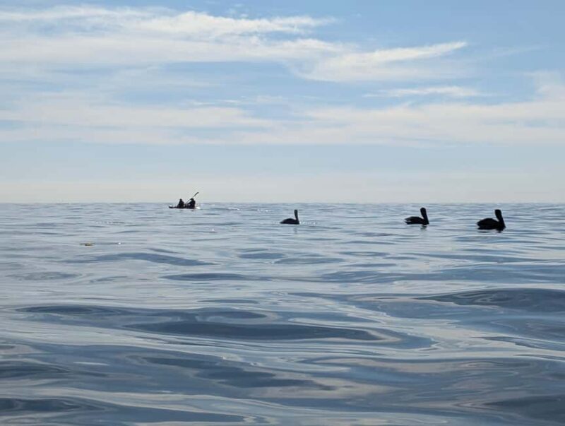 Laguna Beach: Ocean Kayak Private Tour with Guide - Final Thoughts