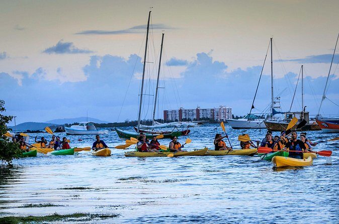 Laguna Grande Night Kayaking Bio Bay - Who Will Love This Tour?