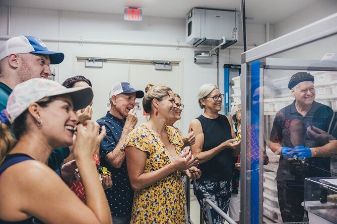 Lahaina Maui Kuia Estate Chocolate Factory Experience - Positive Visitor Feedback