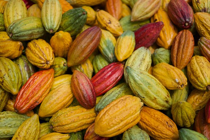 Lahaina: Maui Kuia Estate Guided Cacao Farm Tour and Tasting - Guest Reviews