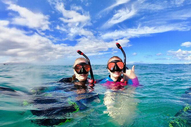 Lahaina Small Group Snorkeling Adventure - An Overview of the Maui Snorkeling Tour
