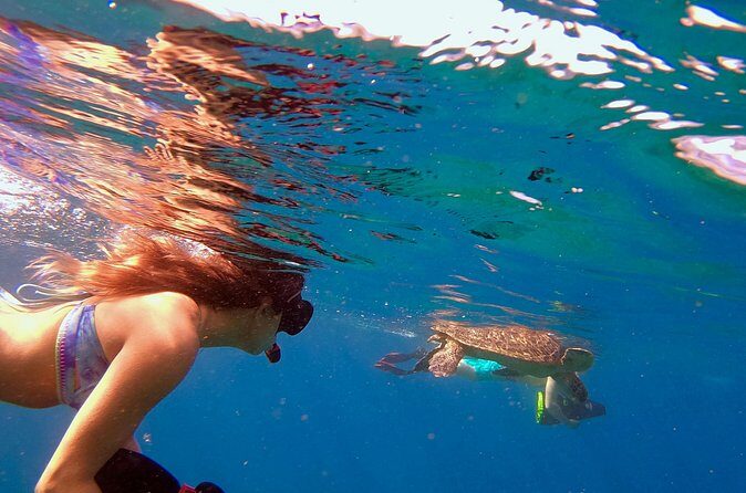 Lahaina Small Group Snorkeling Adventure - Is This Tour Worth the Price?