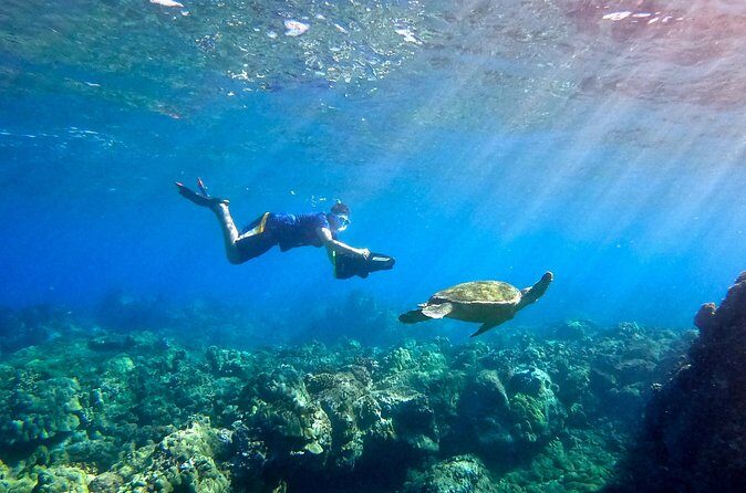 Lahaina Small Group Snorkeling Adventure - Who Will Love This Tour?