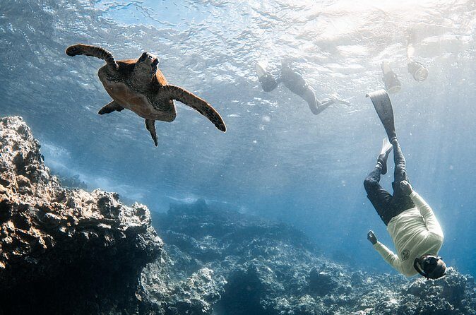 Lahaina Small Group Snorkeling Adventure - The Sum Up