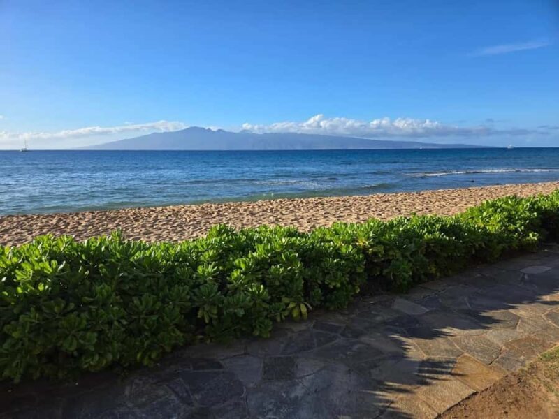 Lahaina: Small-Group Swim Lessons - Key Points