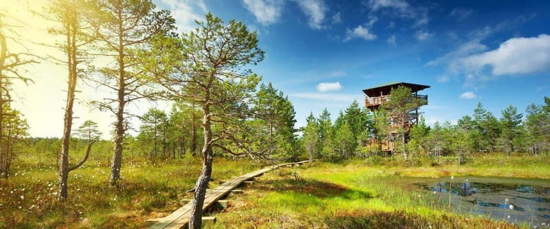 Lahemaa: Tour to Estonias Oldest National Park - An In-Depth Look at the Lahemaa National Park Tour