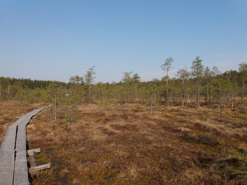 Lahti: Guided Nature Walk The Heart of The Swamp - Practical Details and Logistics